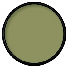 Paradise Makeup AQ - Olive