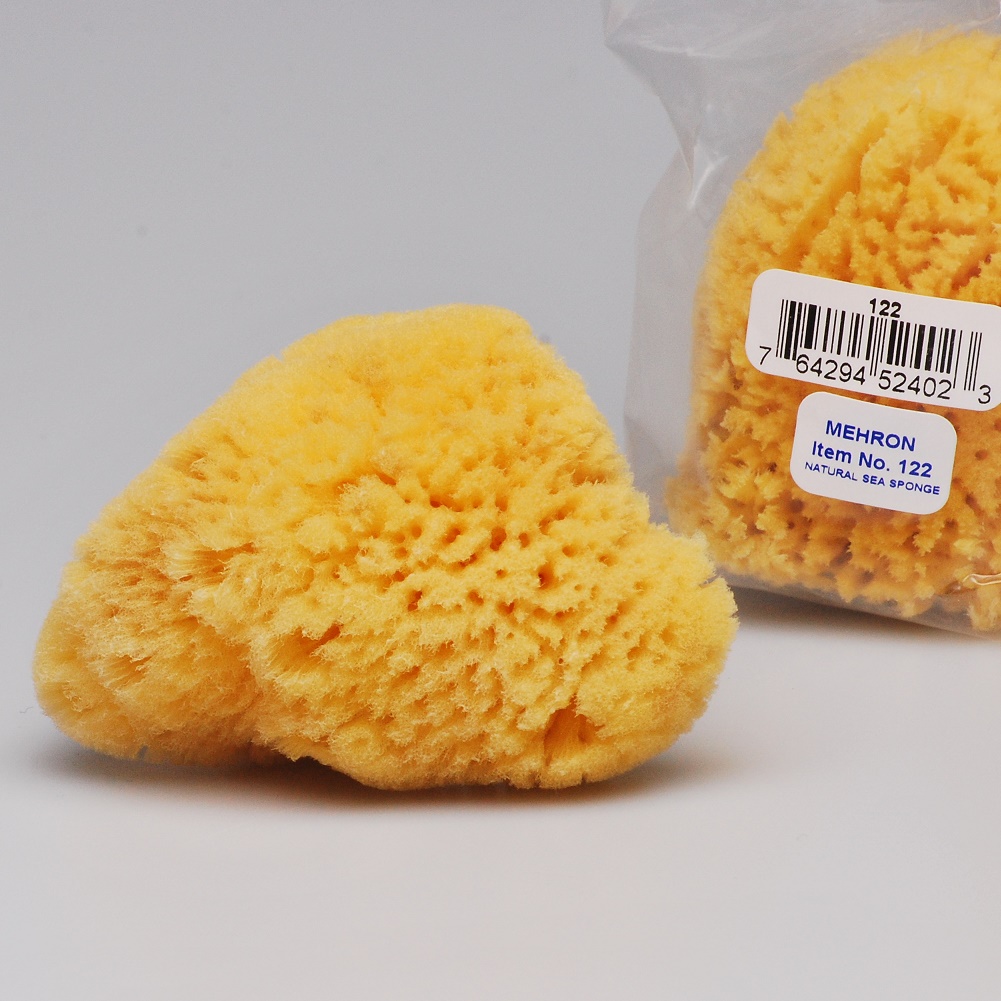 Natural Sea Sponge