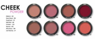 CHEEK Powder Palette - 8 Colors