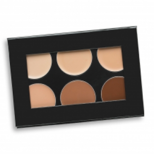 Celebre Pro HD Conceal-It Palette