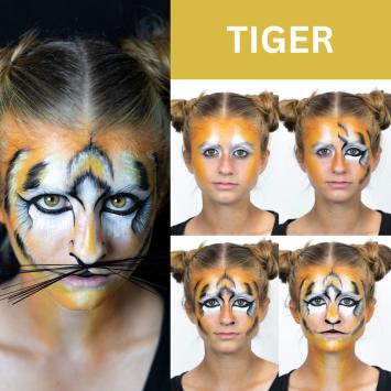 Feline Professional Makeup Kit