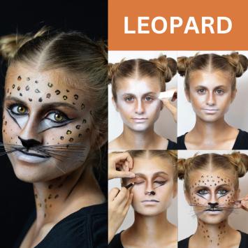 Feline Professional Makeup Kit