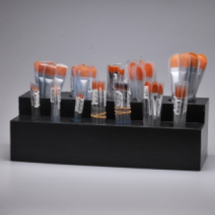 Paradise  Brushes - Display